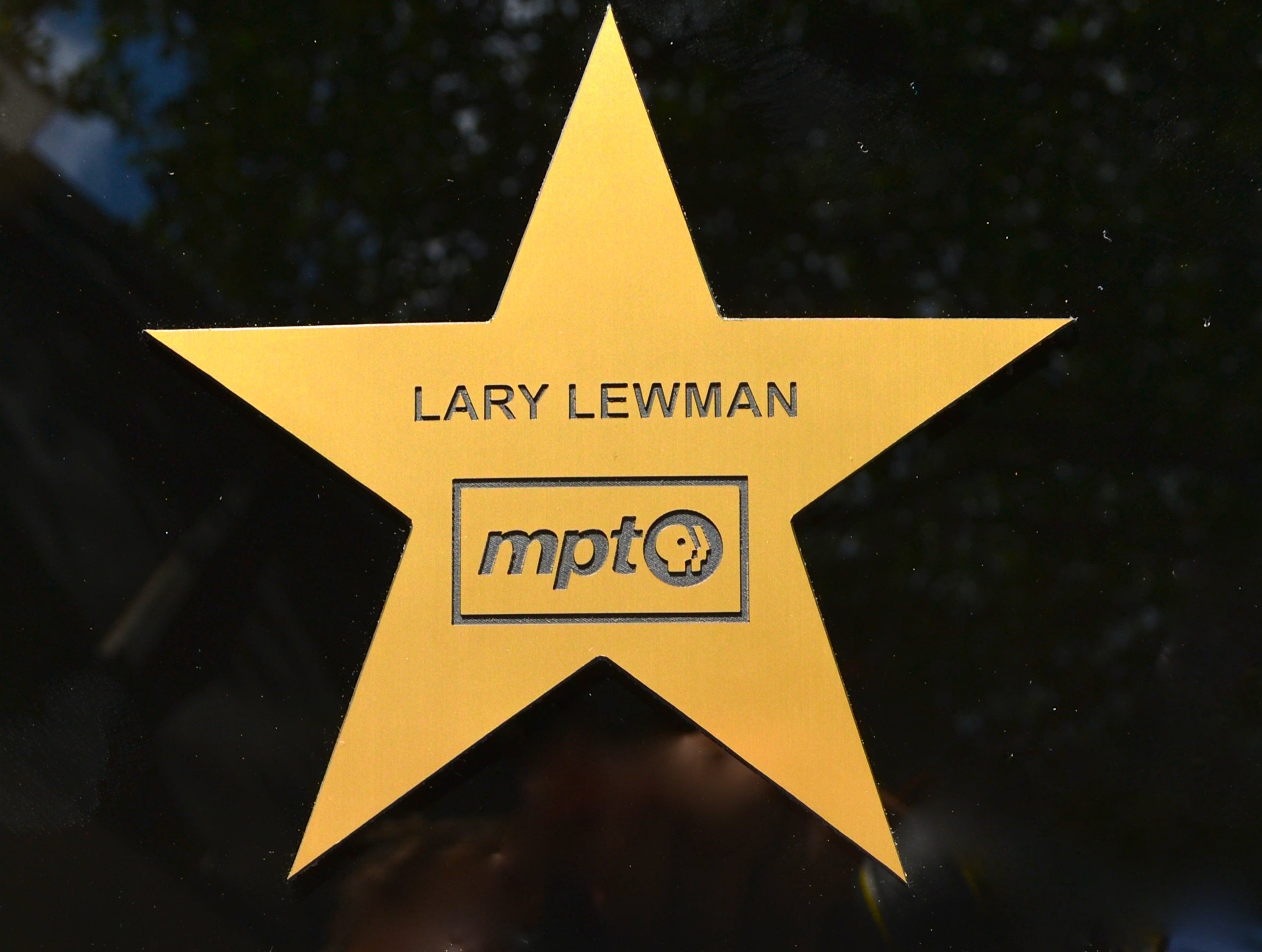 Lary Lewman