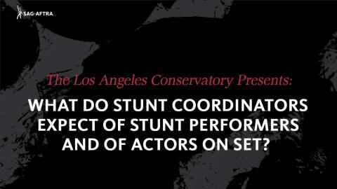 0:01 / 48:38   What Do Stunt Coordinators Expect of Stunt Performers and of Actors On Set? video thumbnail