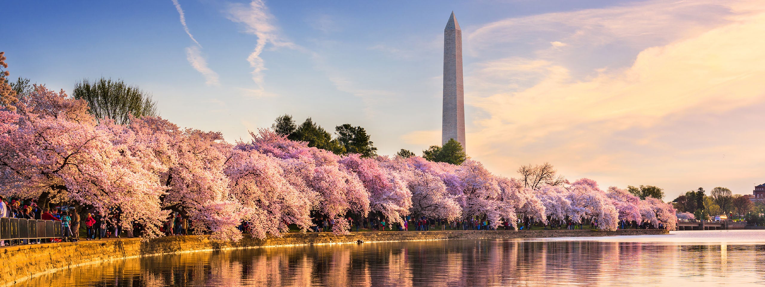 Al fondo se alza el Monumento a Washington, con árboles en flor bordeando la cuenca mareal.