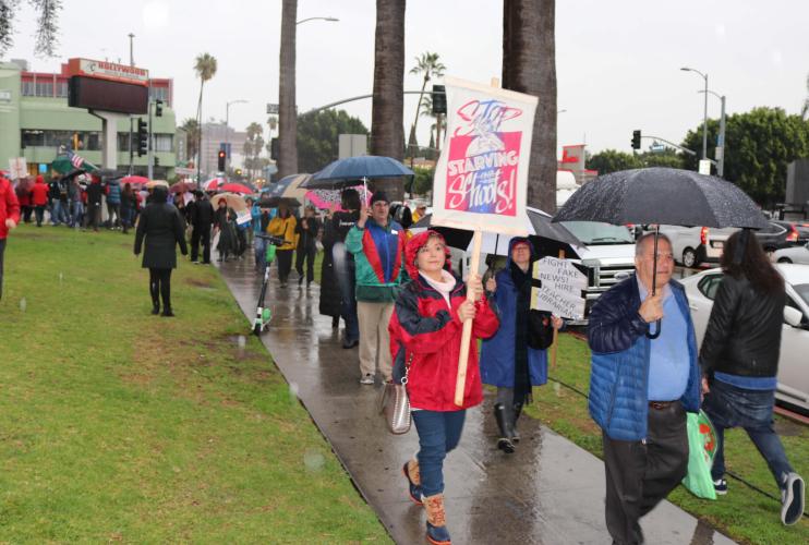 people walking on a wet sidewalk between the street and green grass