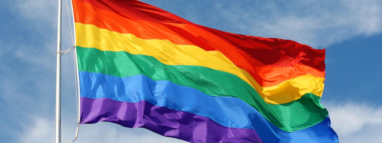 Image of a rainbow flag on a flag pole flapping in the wind.