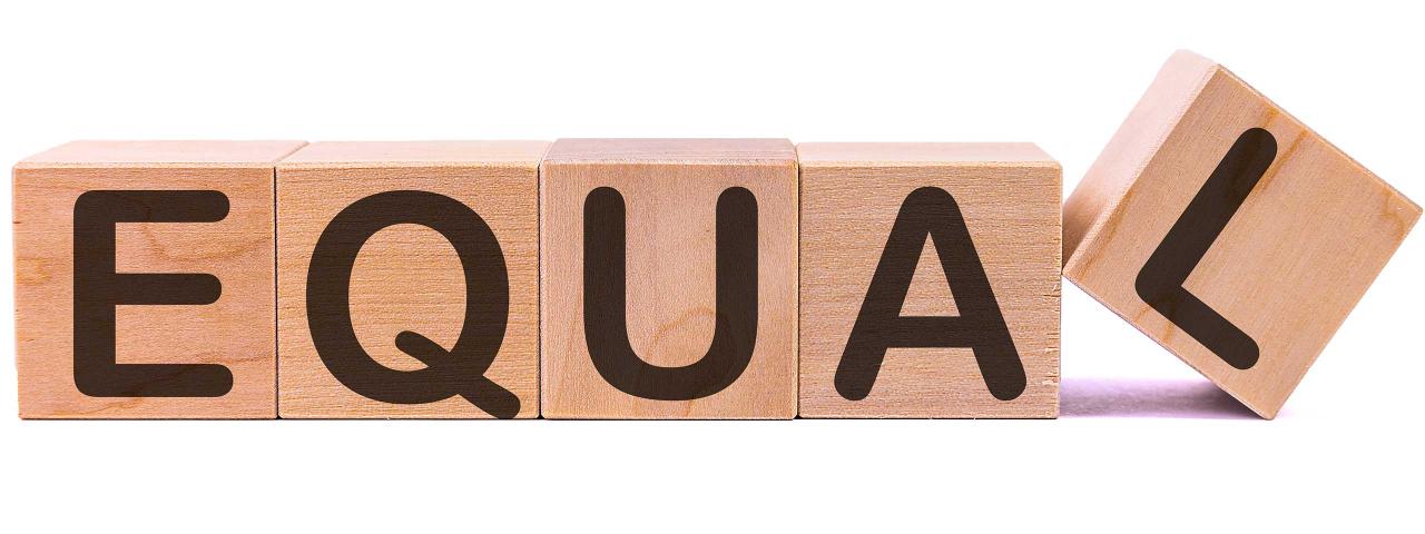 Image of wooden blocks spelling out 'Equality' with a white background.