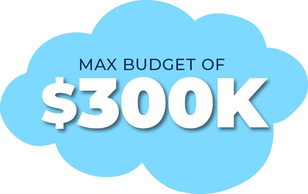 Ultra Low - Low Budget Project - 300k