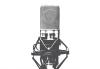 Members Vote to Approve 2018 Sound Recordings Code Michrophone on a white background